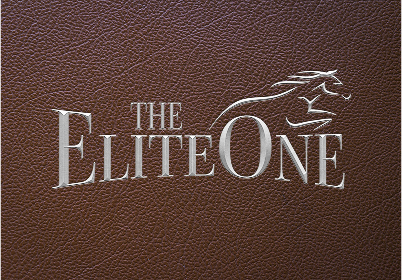 The EliteOne | Elitecon International LTD.