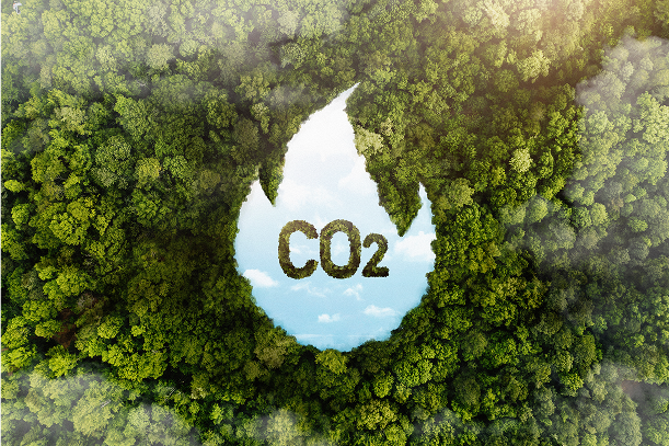 Cutting Carbon, Not Corners: Our Green Mission