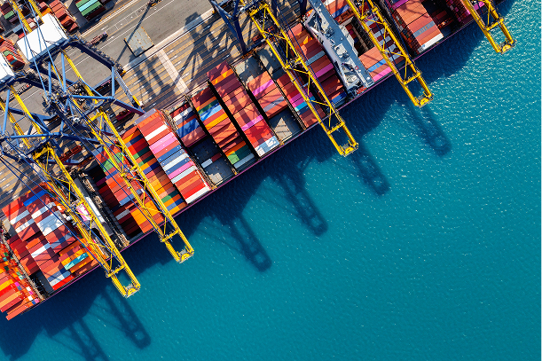 Moving Mindfully: Logistics with Love for the Planet