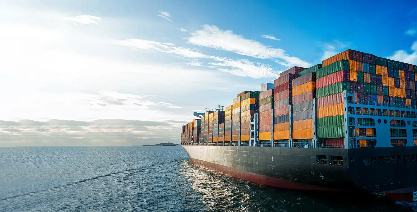 Exports | Elitecon International